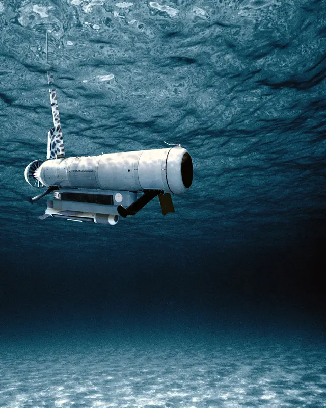 The remote minehunting system (RMS) successfully completed developmental testing, Dec. 9. The objective of the developmental testing (DT) was to demonstrate that the RMS met reliability, suitability and effectiveness requirements. Preliminary analyses of the results indicate that the RMS operated as expected and the test objectives were achieved.